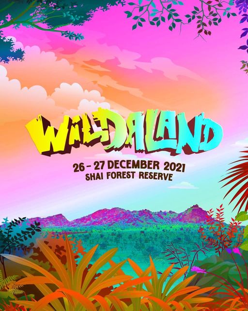 Read more about the article Wildaland Festival